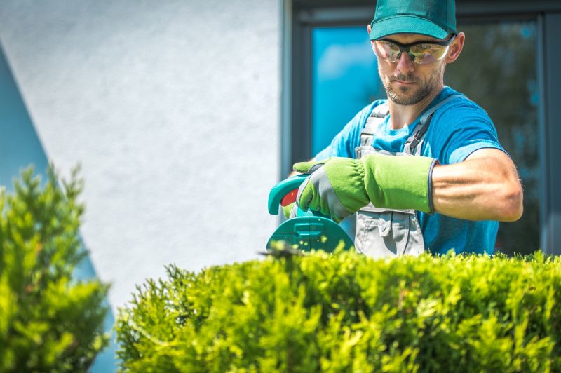 Landscaper Working on Shrubs