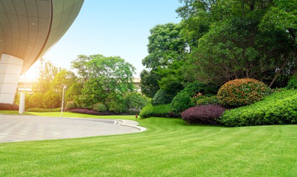 Commercial Shrub Trimming in Columbus