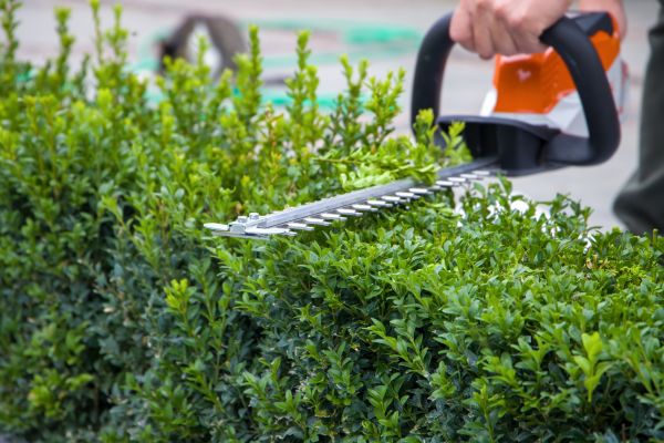 Hedge Pruning in Columbus