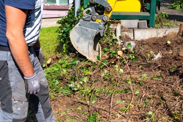 Hedge Removal Service in Columbus