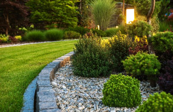 Cost of Bush Relocation in Columbus