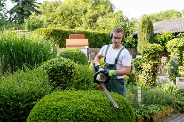 Shrubs Trimming in Columbus