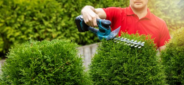 Cost of Hedge Shaping Service in Columbus